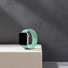Elastic Single Loop Woven Nylon Apple Watch Band