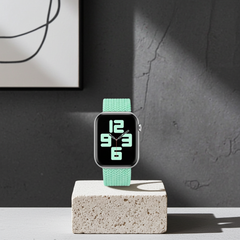 Elastic Single Loop Woven Nylon Apple Watch Band